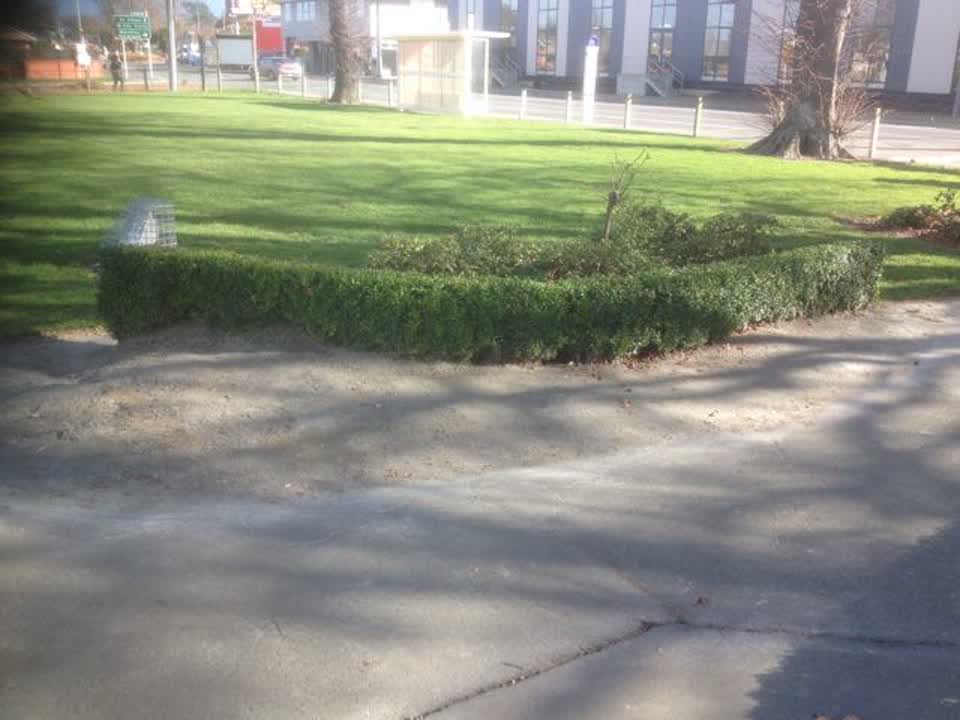 The photograph attached to this parks report