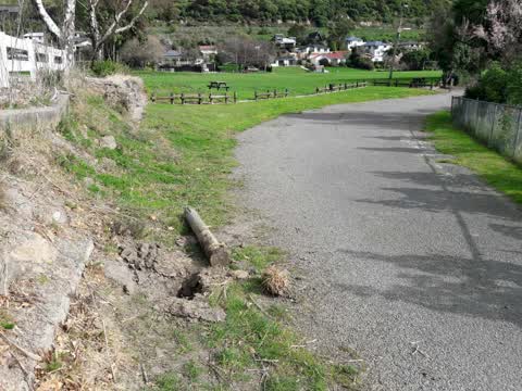 Parks, a report photo