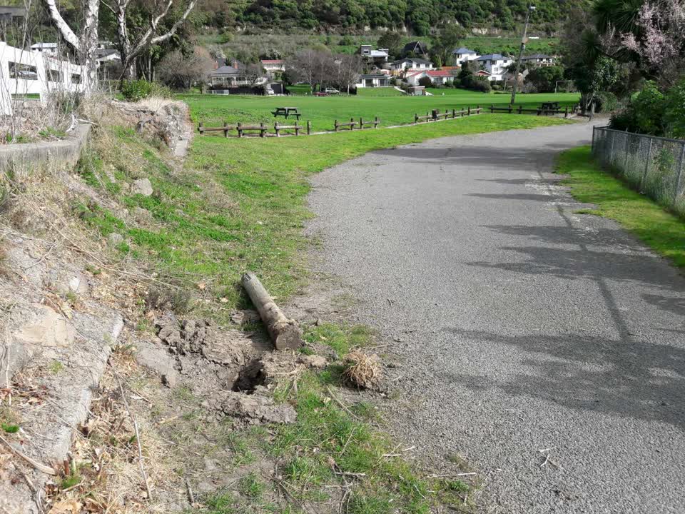 The photograph attached to this parks report