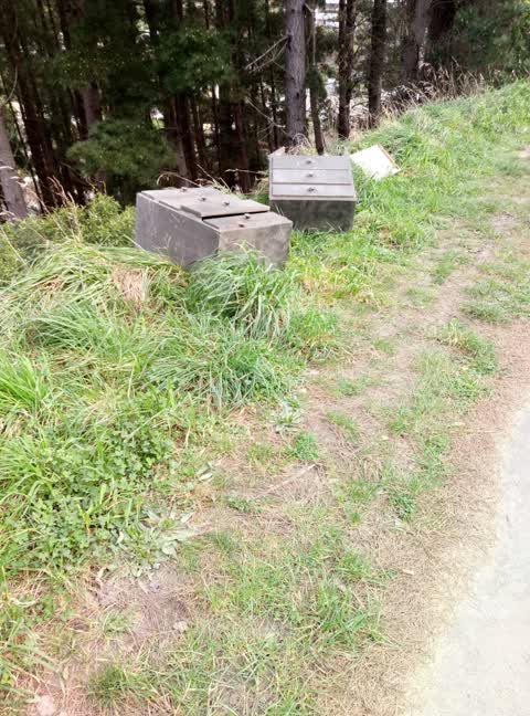 Rubbish/Recycling, a report photo