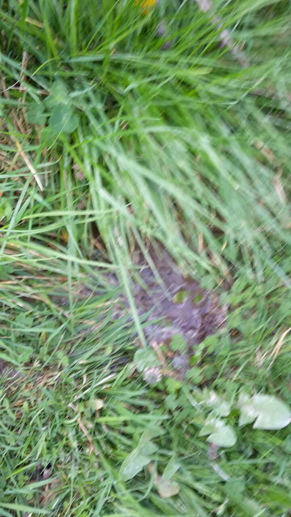 The photograph attached to this wastewater/stormwater report
