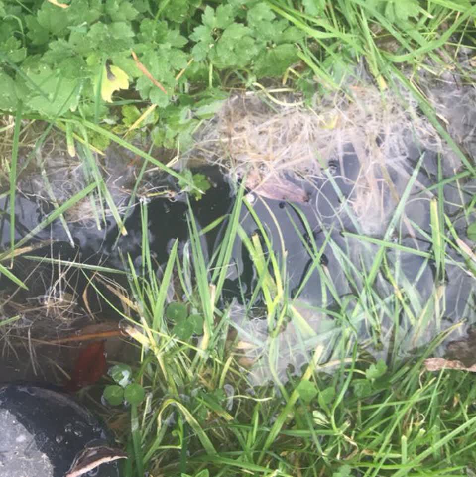 The photograph attached to this flooding report