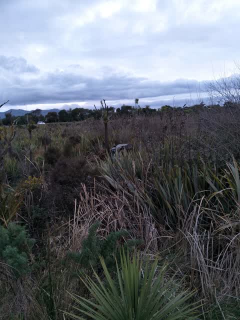 Rubbish/Recycling — a report photo