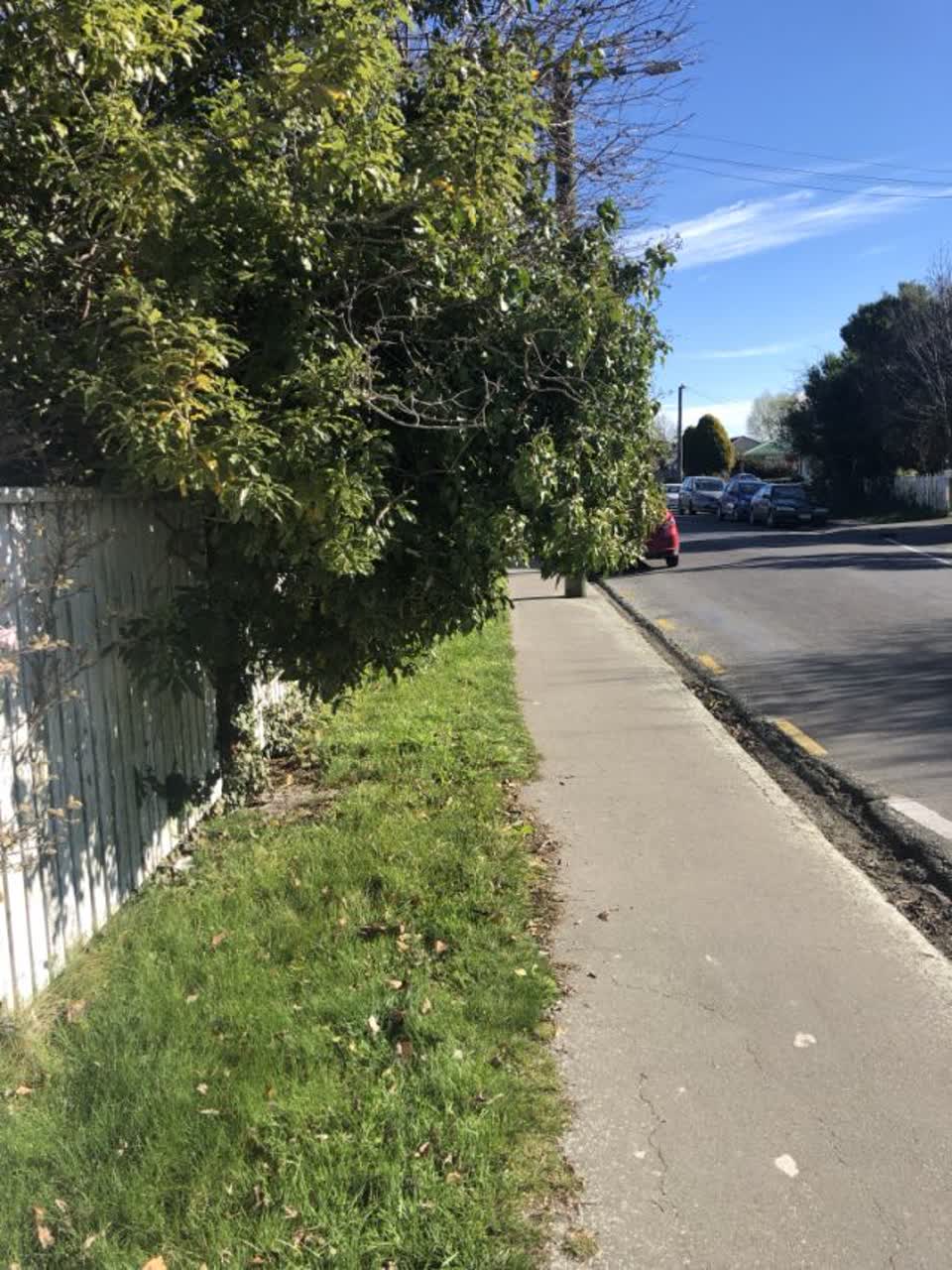 The photograph attached to this parks report