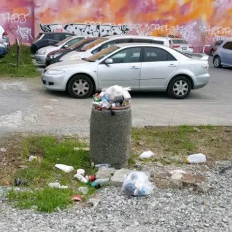 Rubbish/Recycling, a report photo