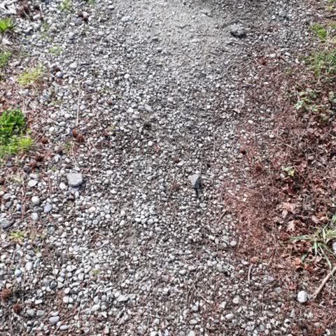 Roading/Streets, a report photo