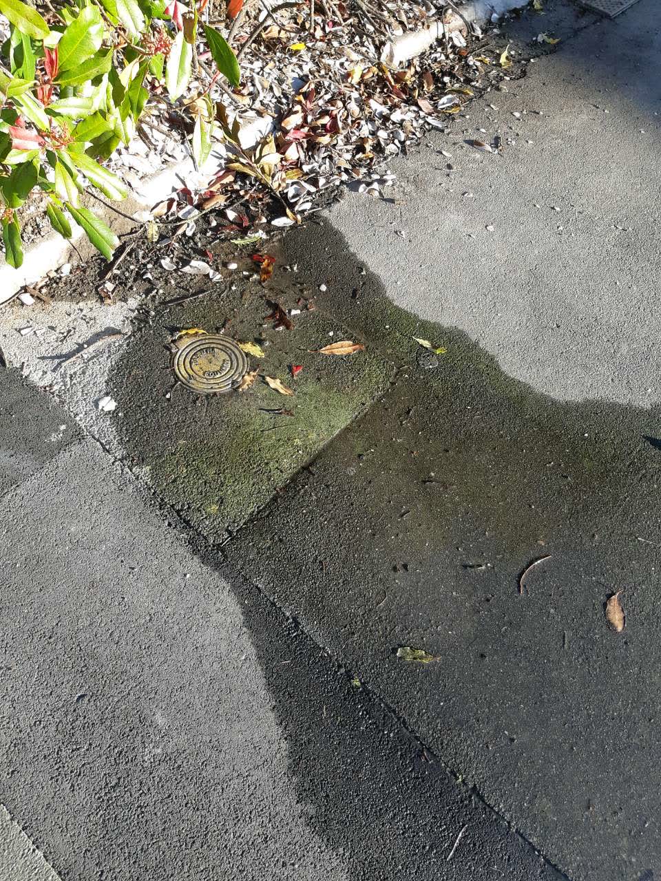 The photograph attached to this water supply report