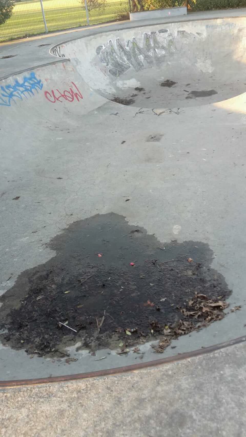 The photograph attached to this parks report