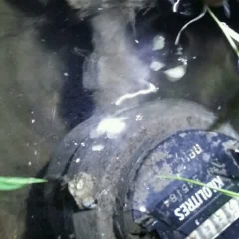 Water Supply, a report photo