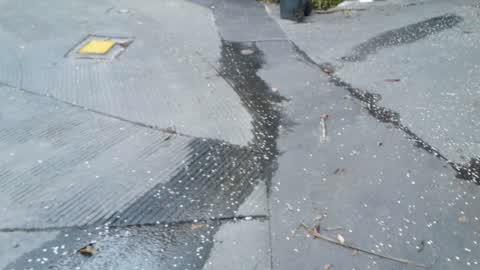 Wastewater/Stormwater, a report photo