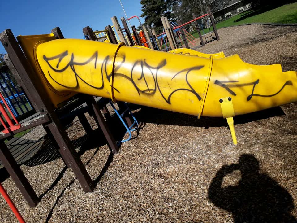 The photograph attached to this graffiti report