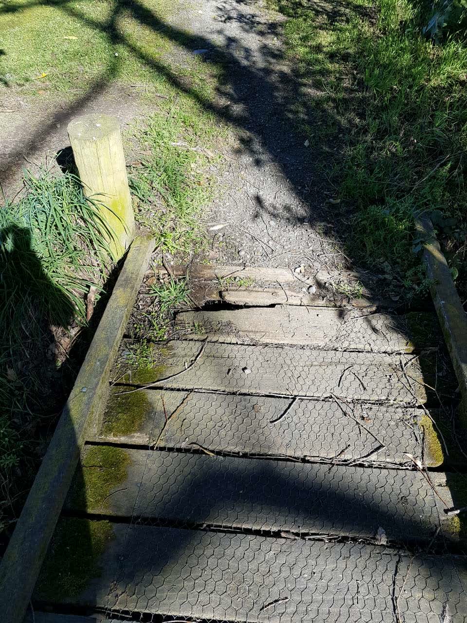 The photograph attached to this parks report