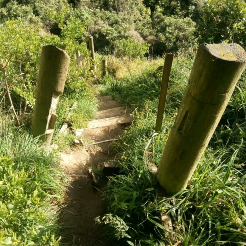 The photograph attached to this parks report