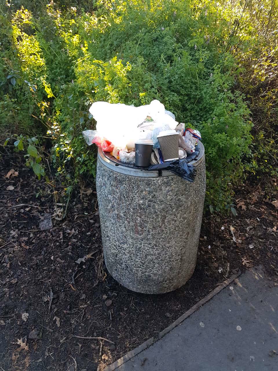 The photograph attached to this rubbish/recycling report