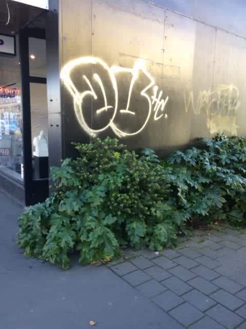 Graffiti, a report photo