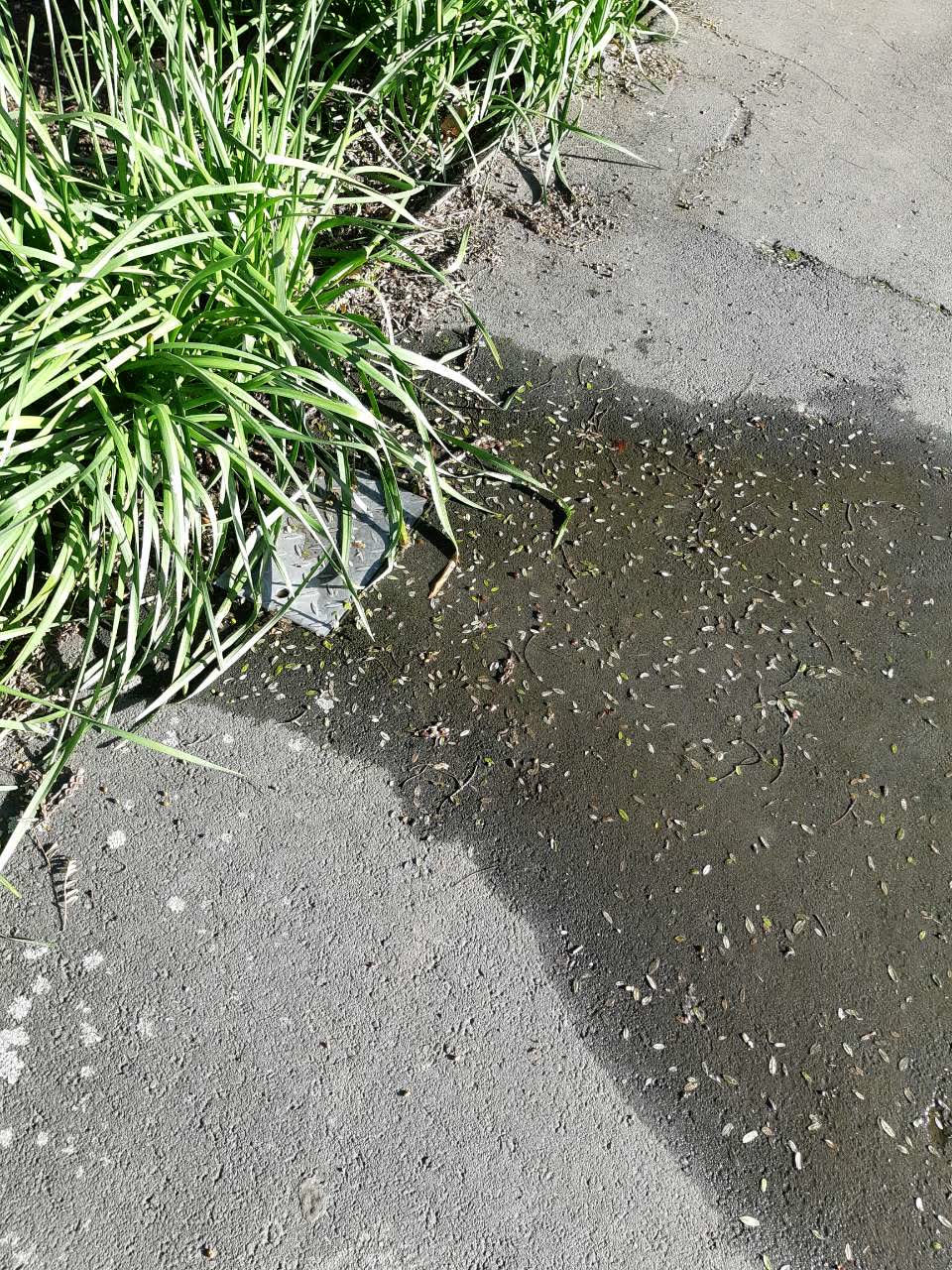 The photograph attached to this water supply report