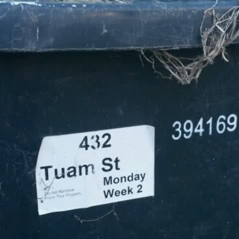 Rubbish/Recycling, a report photo