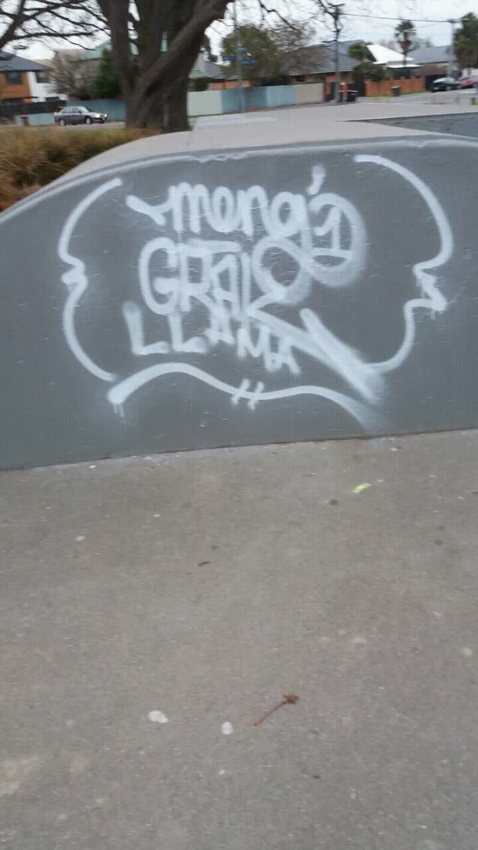 The photograph attached to this graffiti report