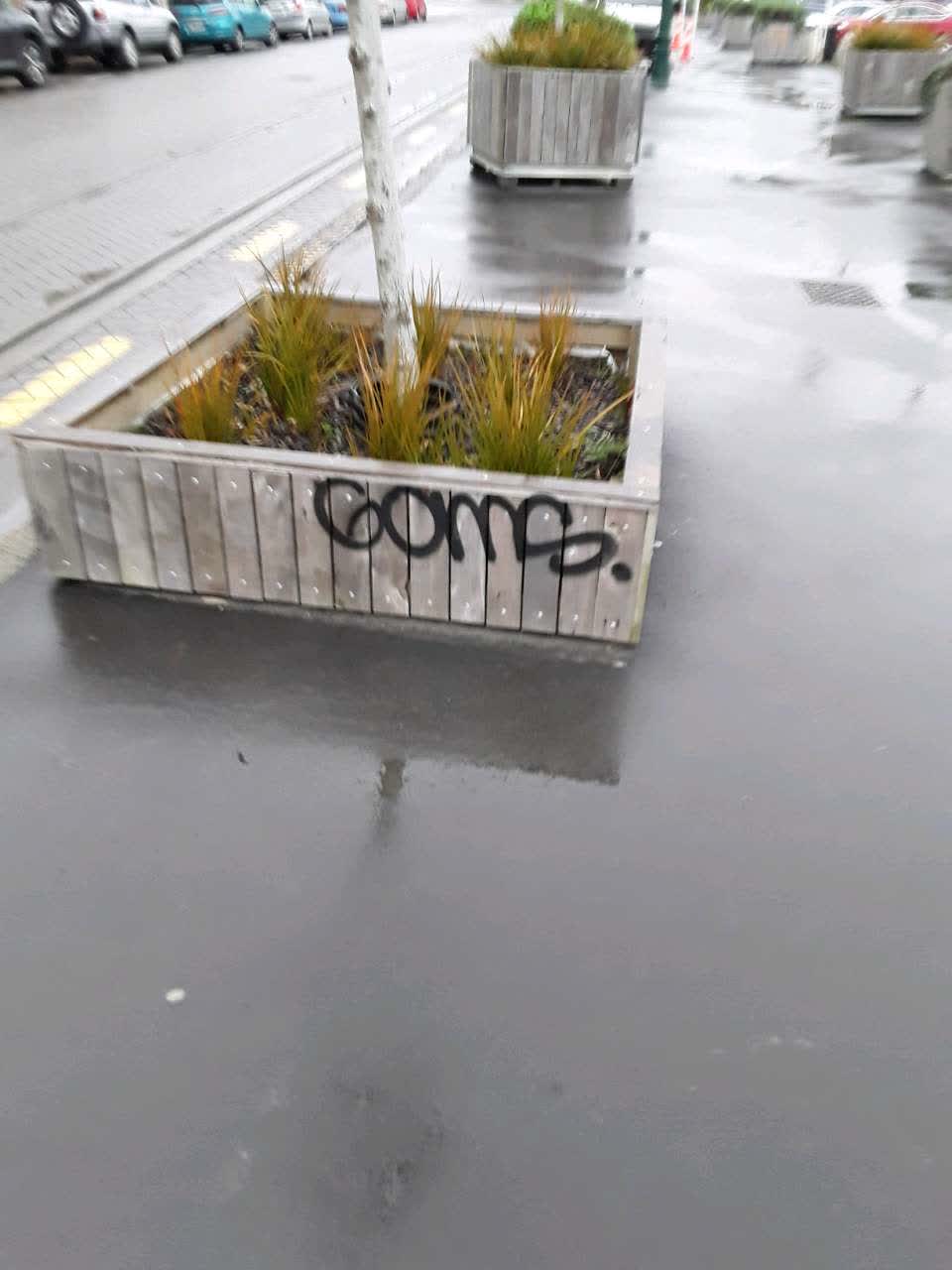 The photograph attached to this graffiti report