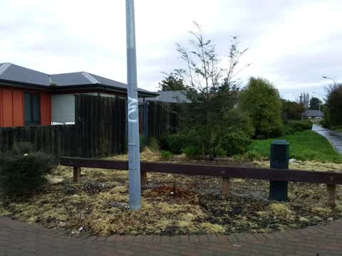 Graffiti — a report photo