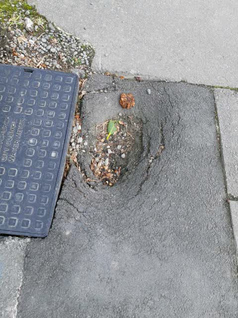 Roading/Streets, a report photo