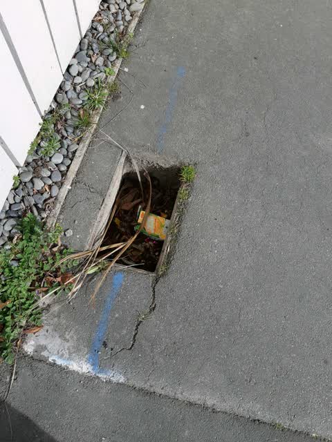 Water Supply, a report photo