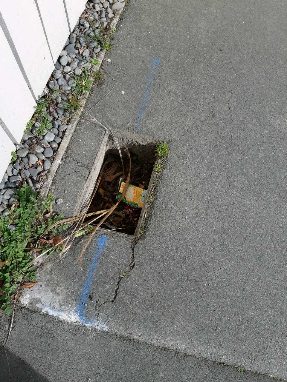 The photograph attached to this water supply report