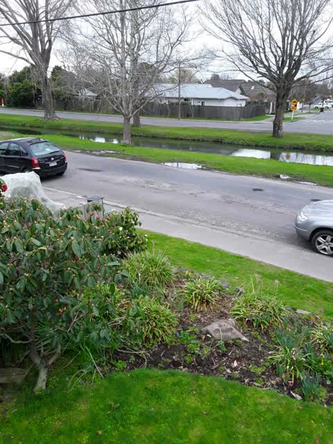 Roading/Streets, a report photo