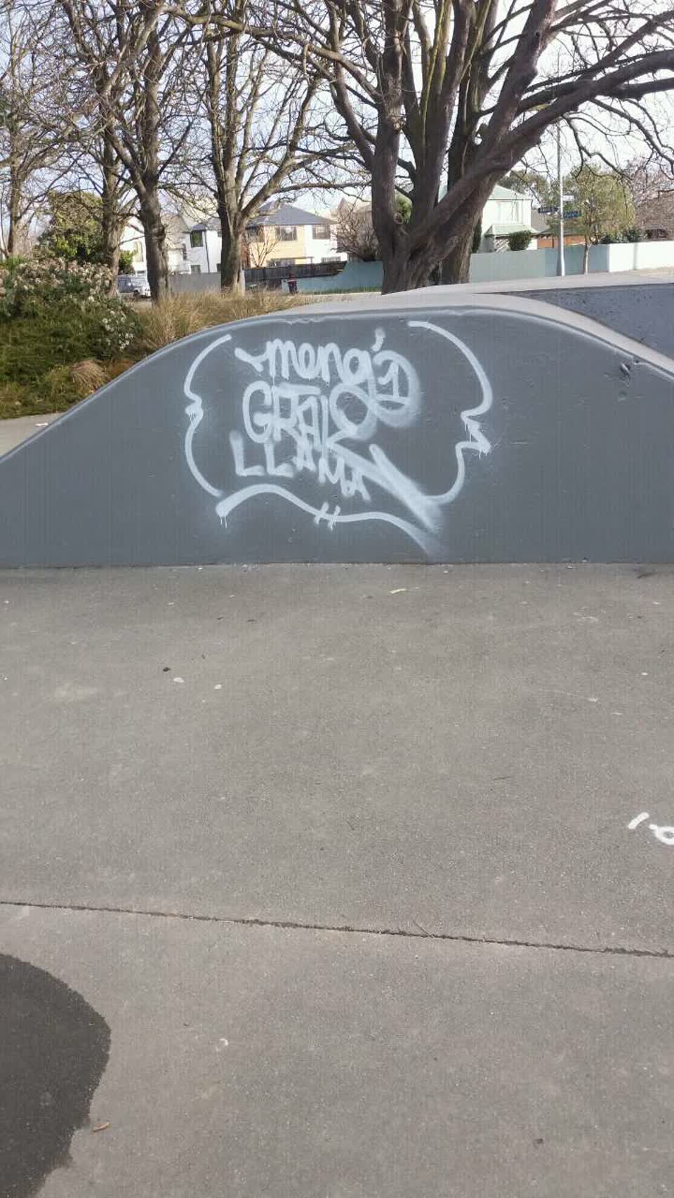 The photograph attached to this graffiti report