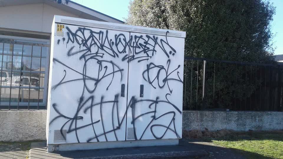 The photograph attached to this graffiti report