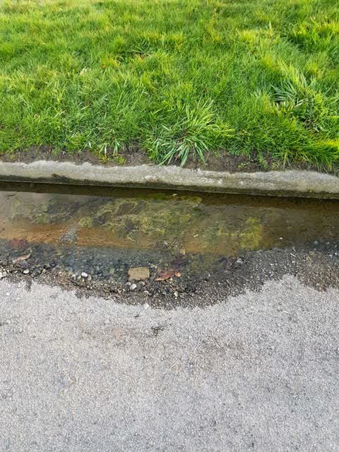 Water Supply, a report photo