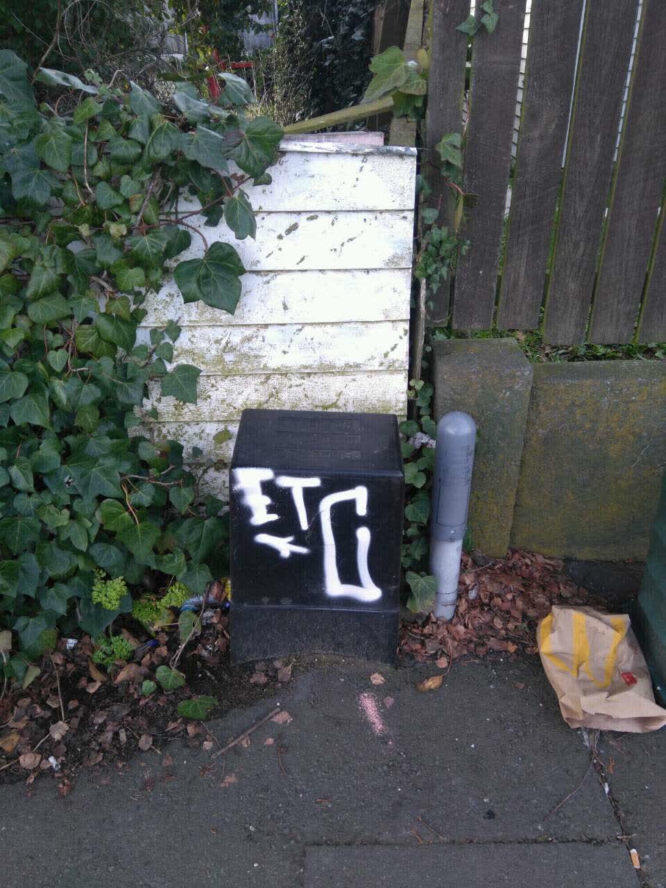 The photograph attached to this graffiti report