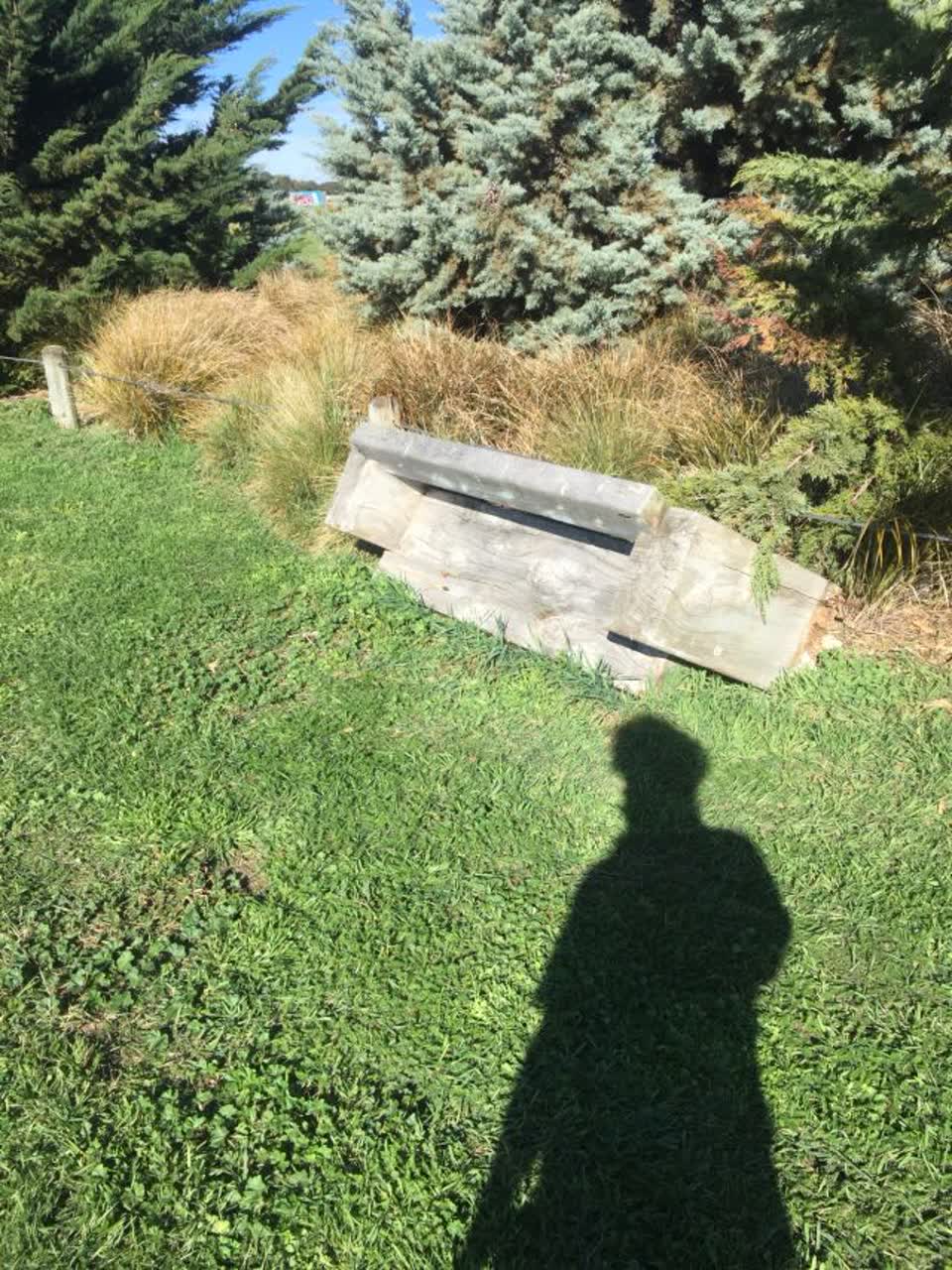 The photograph attached to this parks report
