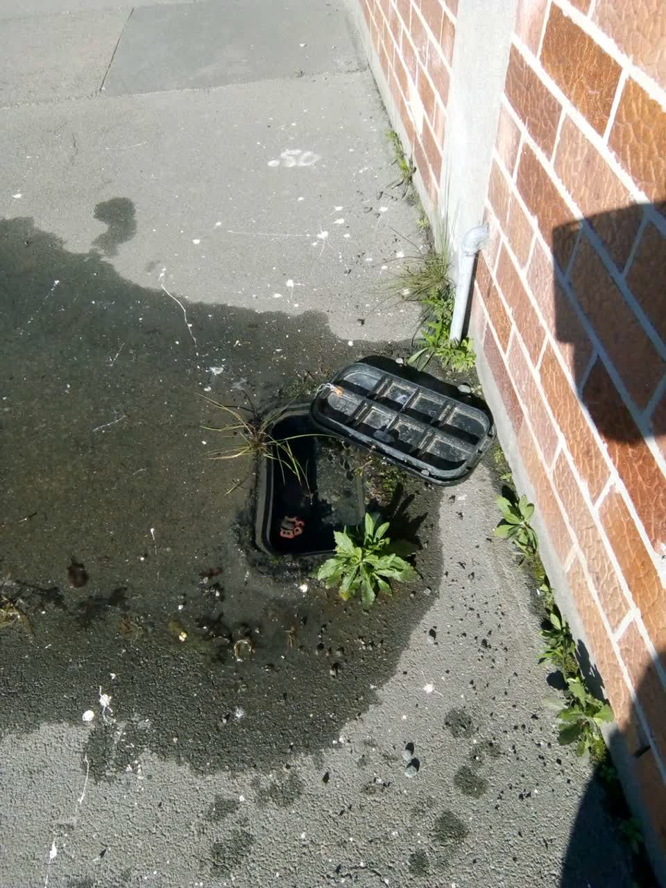 The photograph attached to this water supply report