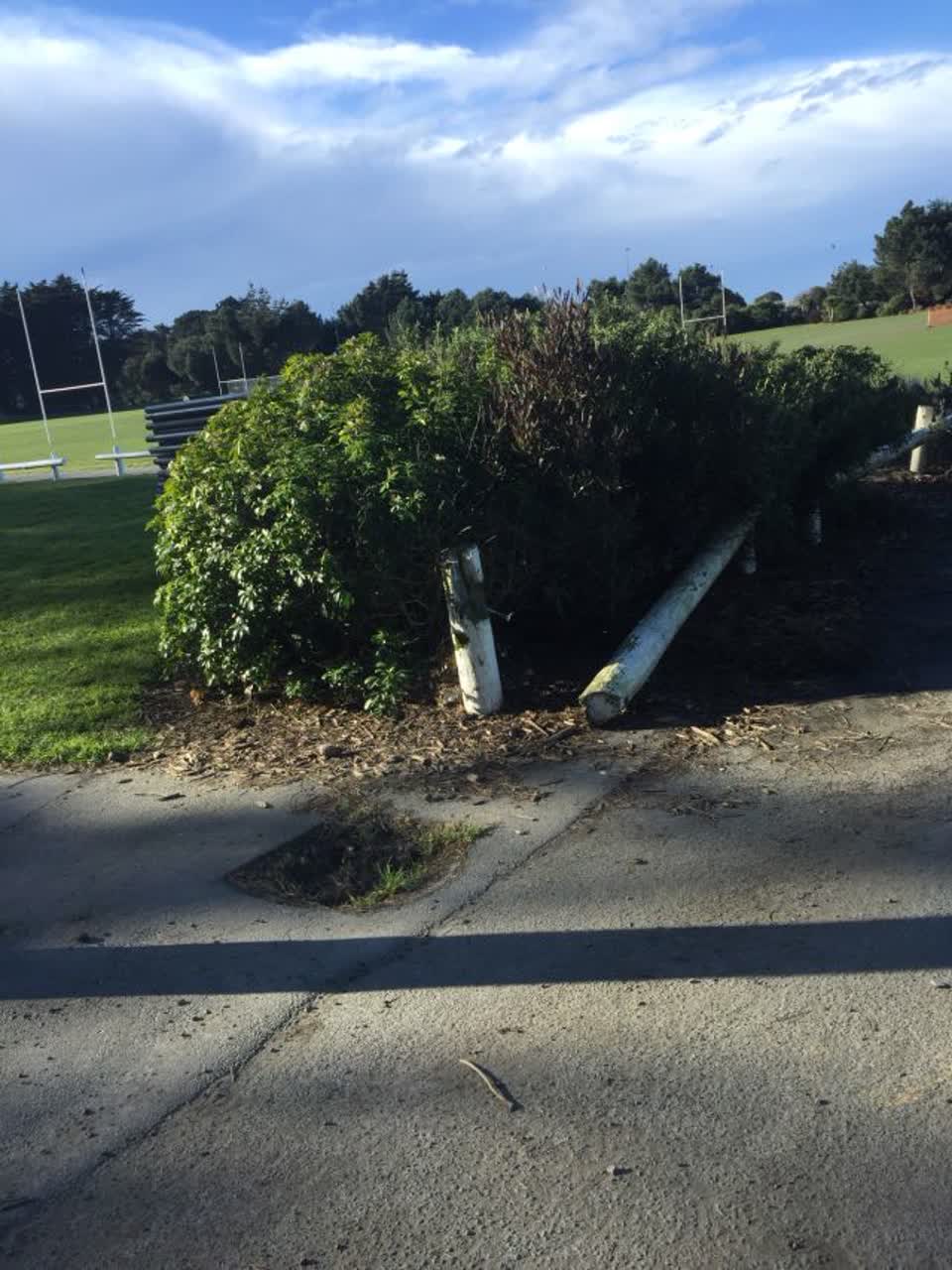 The photograph attached to this parks report