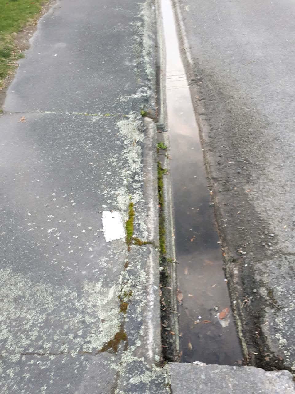 The photograph attached to this wastewater/stormwater report