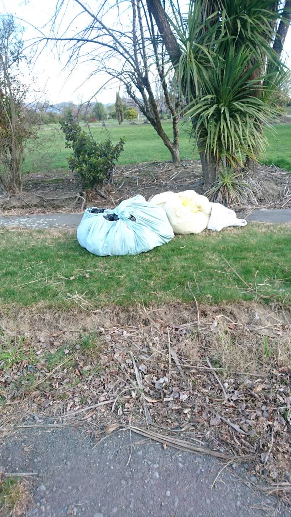 The photograph attached to this rubbish/recycling report