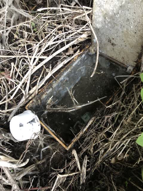 Water Supply, a report photo