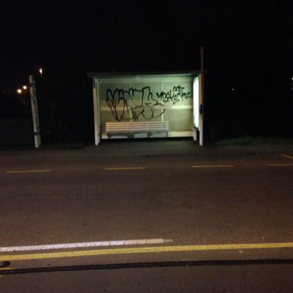 The photograph attached to this graffiti report