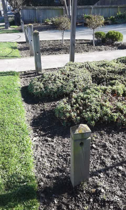 Parks, a report photo