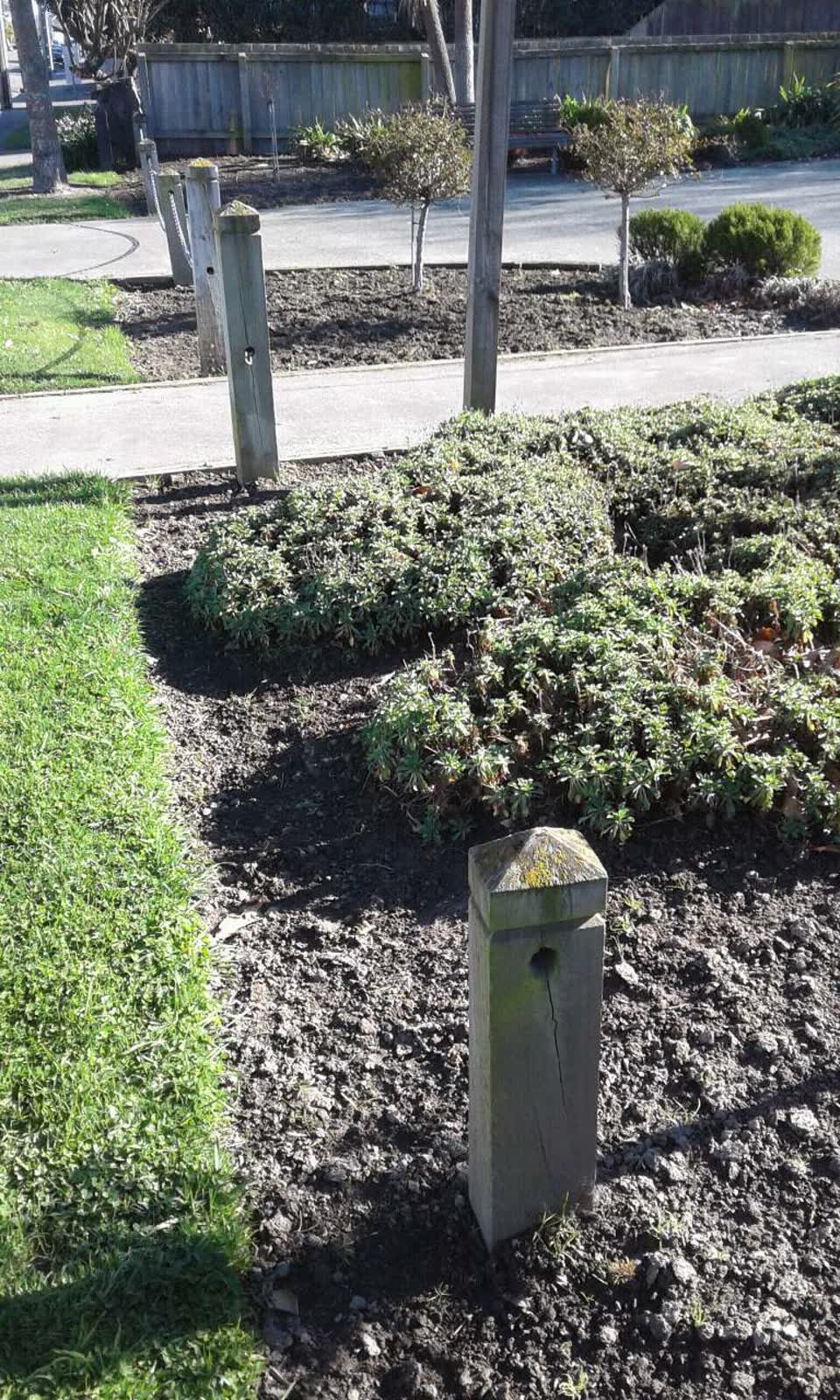 The photograph attached to this parks report