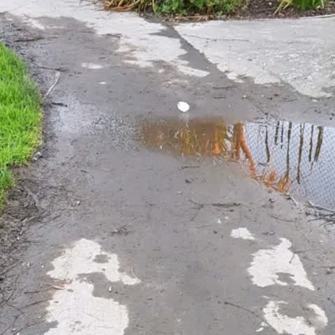 Flooding, a report photo