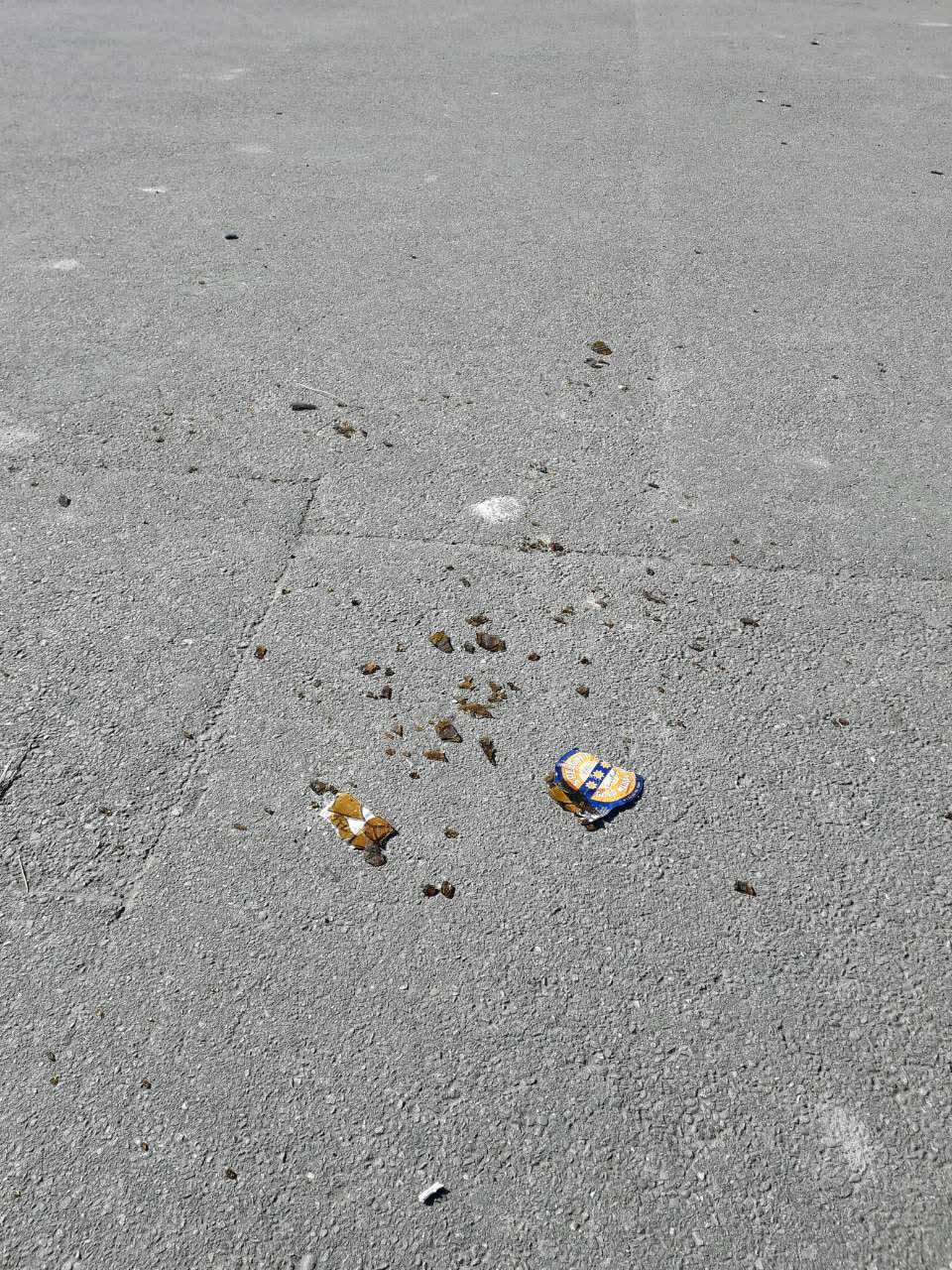 The photograph attached to this parks report