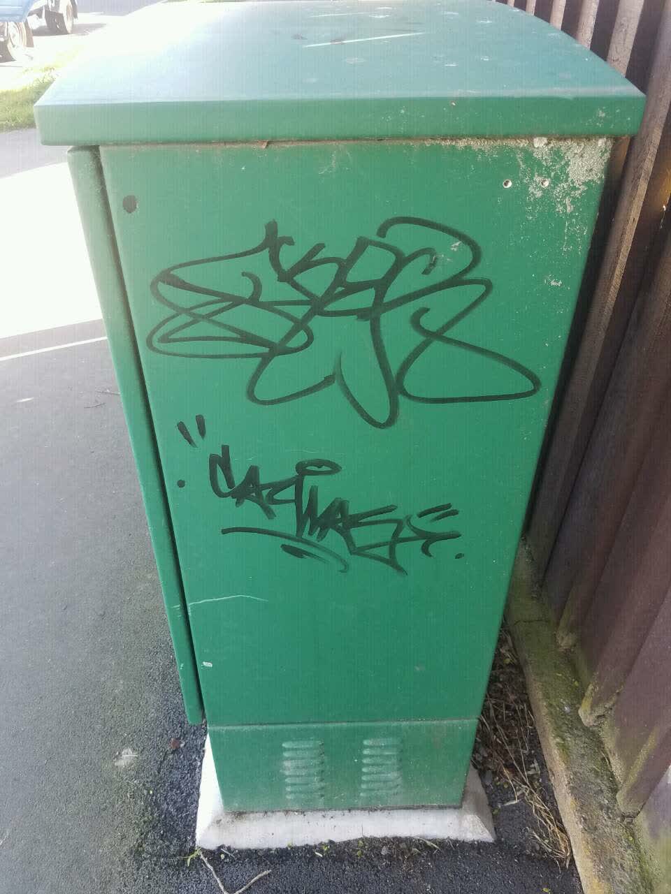 The photograph attached to this graffiti report