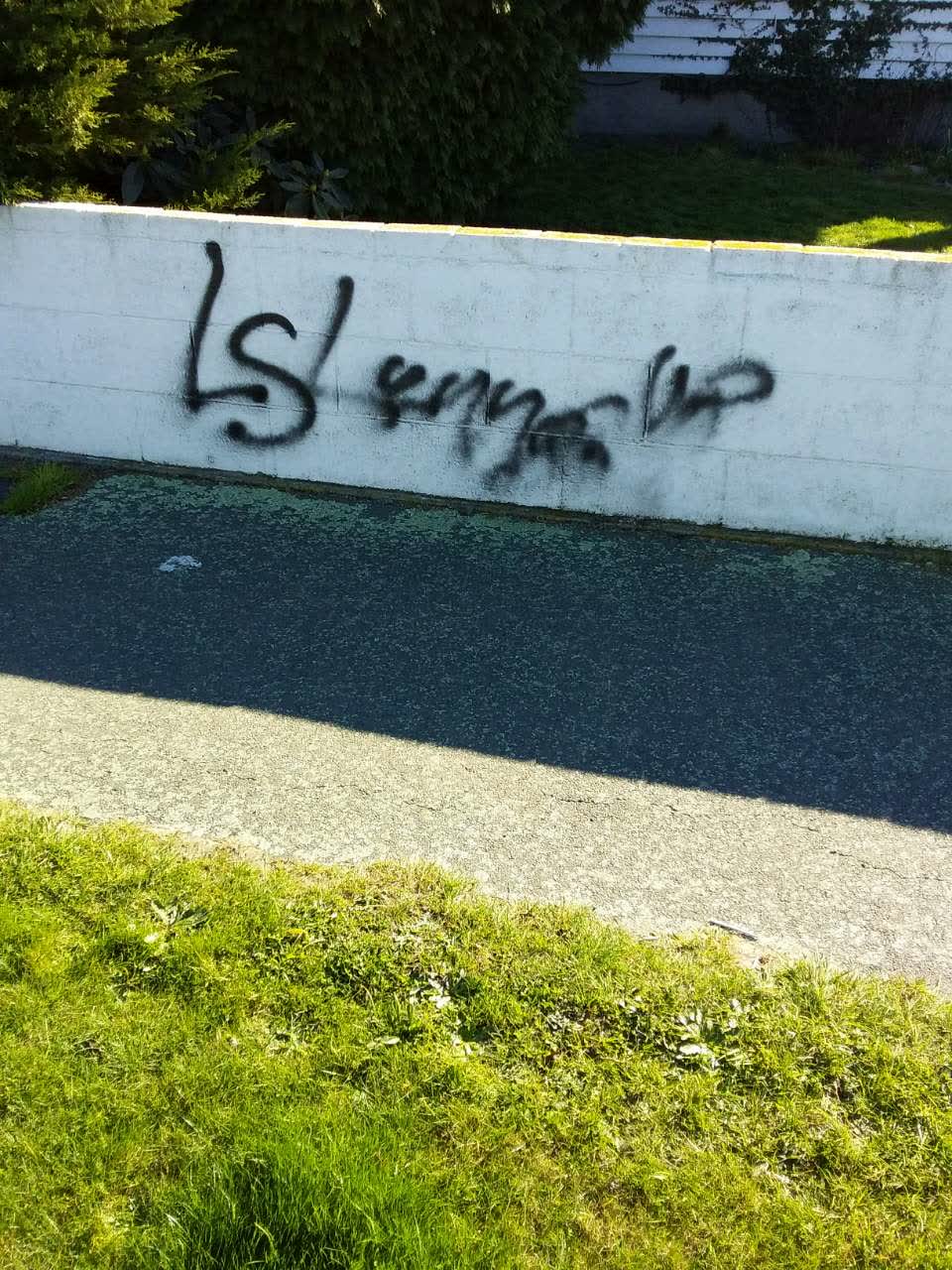The photograph attached to this graffiti report