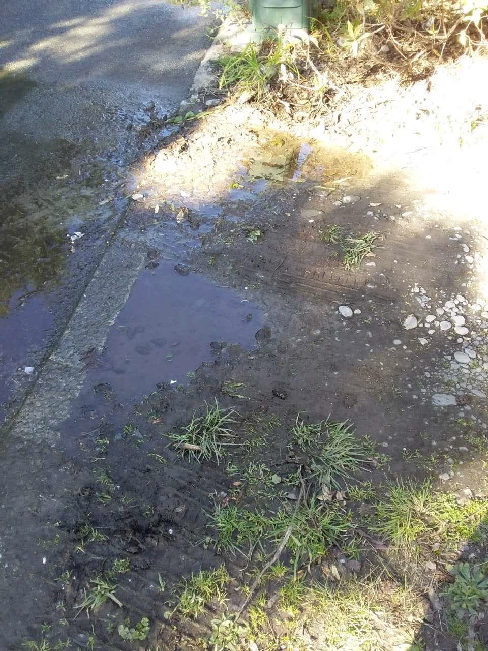 The photograph attached to this water supply report