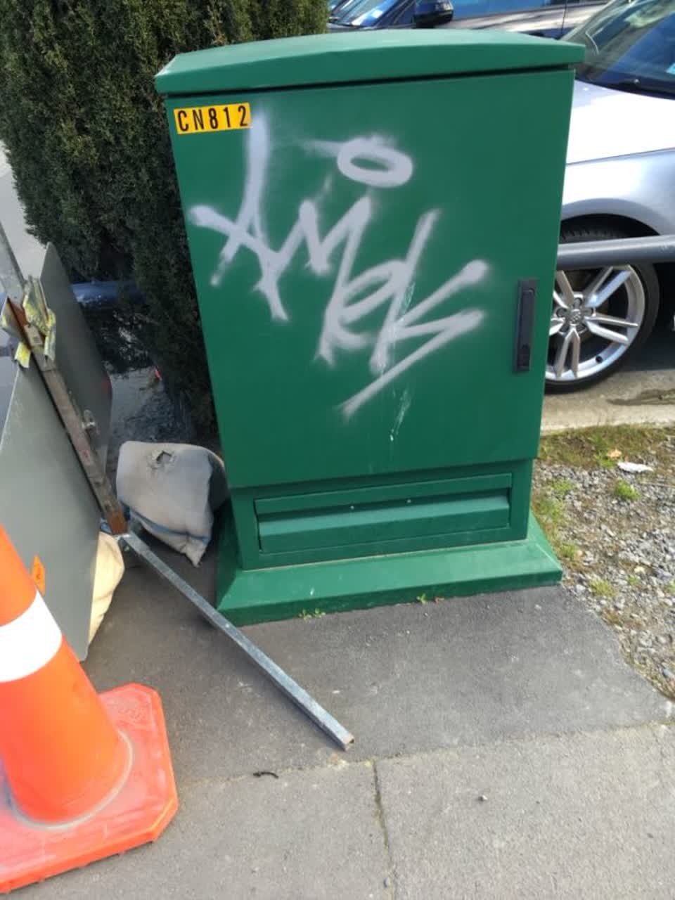 The photograph attached to this graffiti report