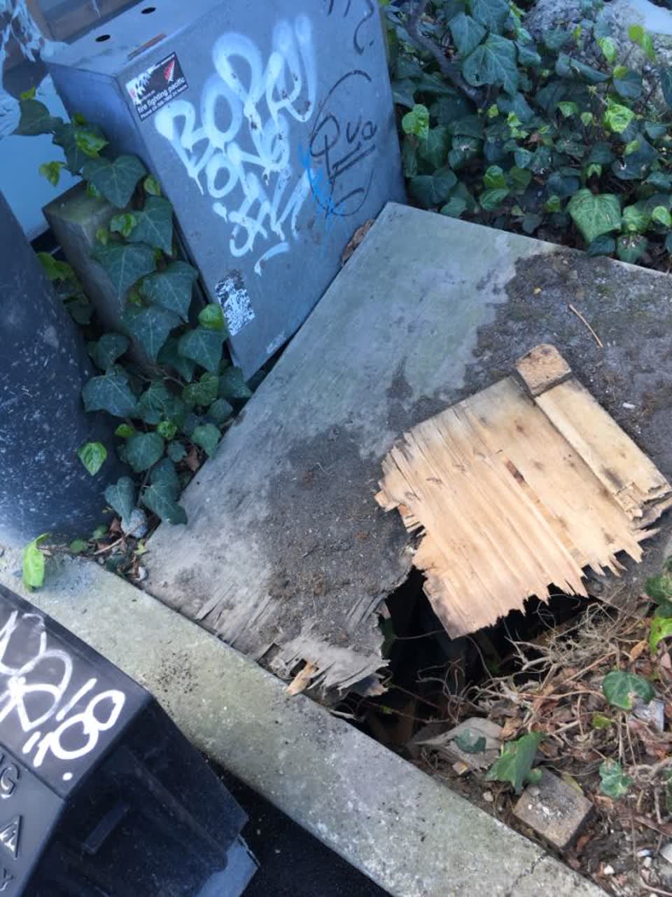 The photograph attached to this roading/streets report