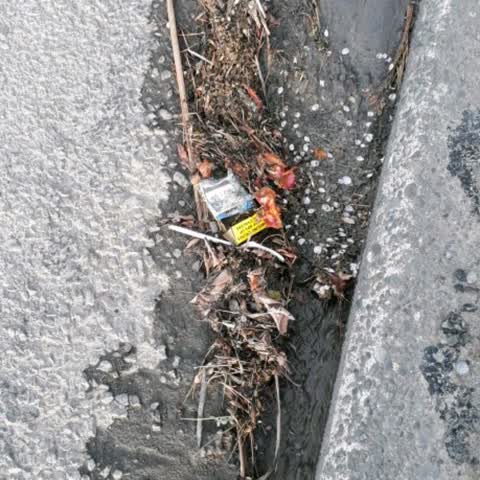 Roading/Streets, a report photo