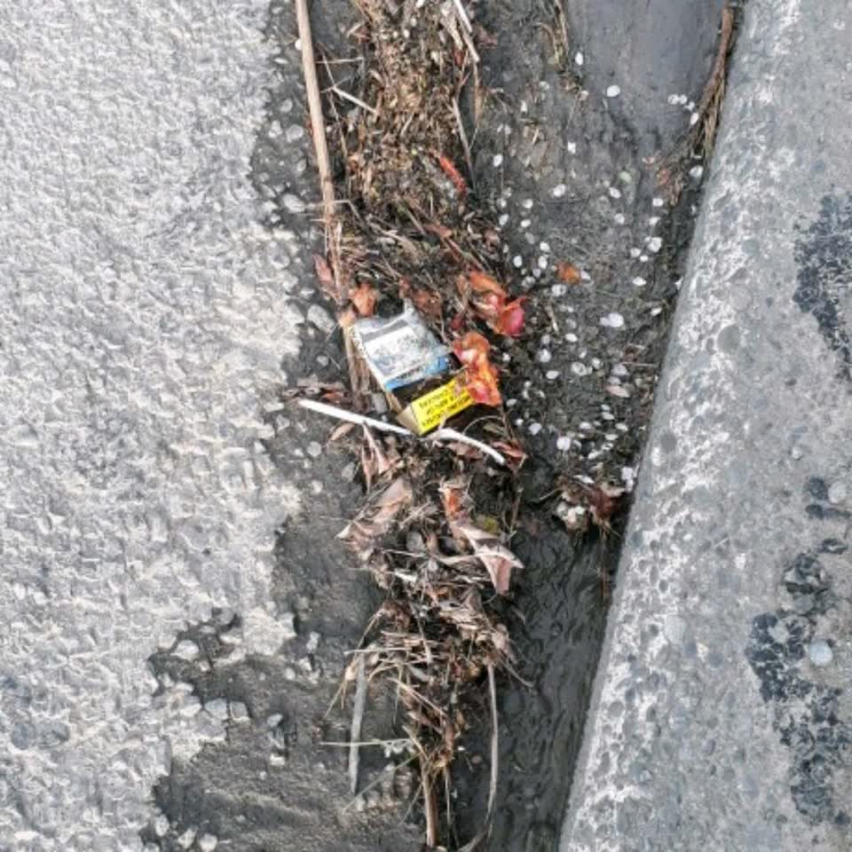 The photograph attached to this roading/streets report